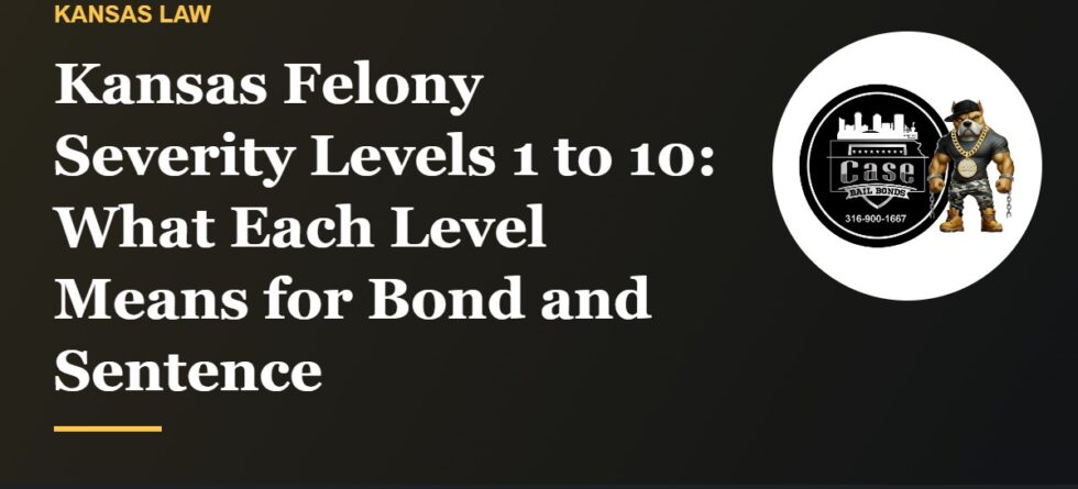 Kansas felony severity levels 1 to 10 and the sentencing grid