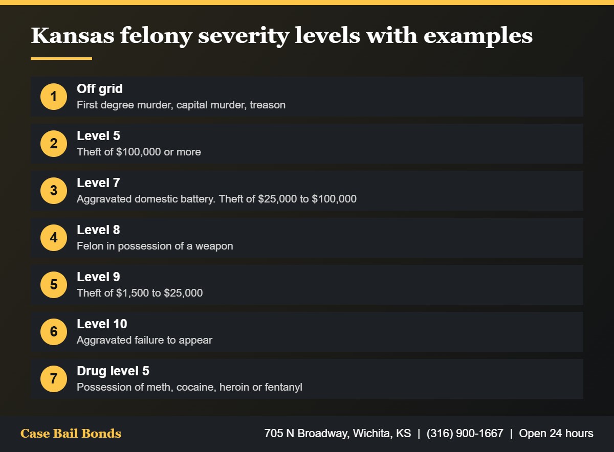 Examples of crimes at different Kansas felony severity levels from level 5 theft to off grid murder